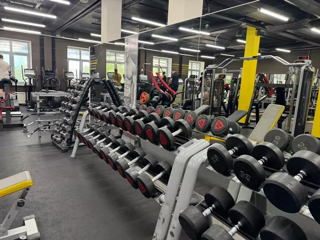 #2 Зона свободных весов