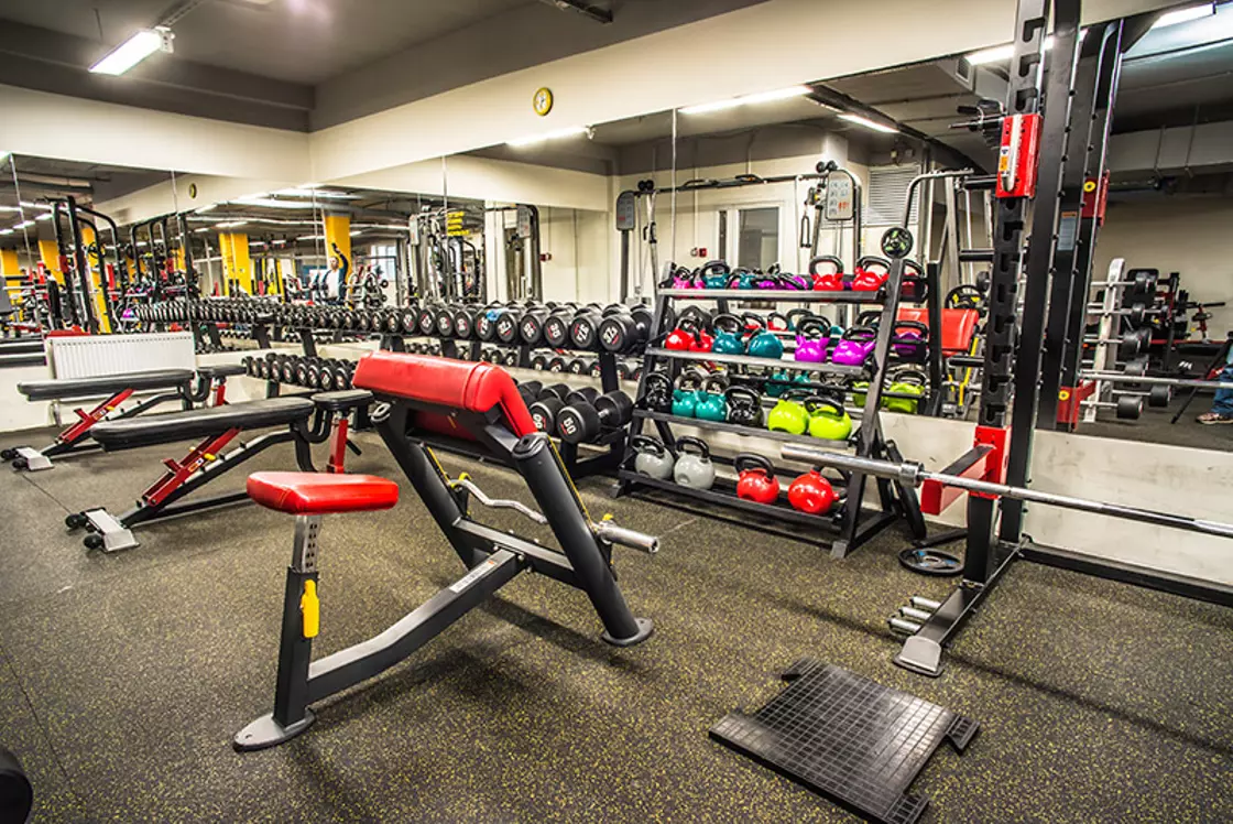 #2 Зона свободных весов