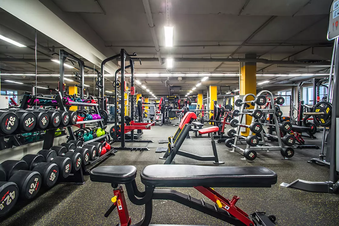 #1 Зона свободных весов