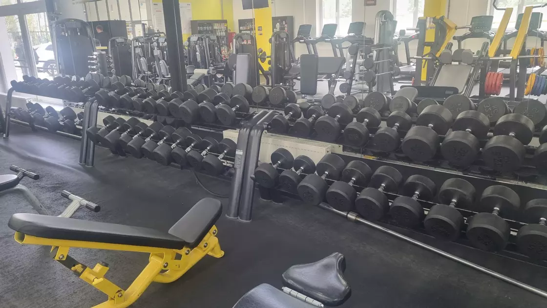 #4 Зона свободных весов