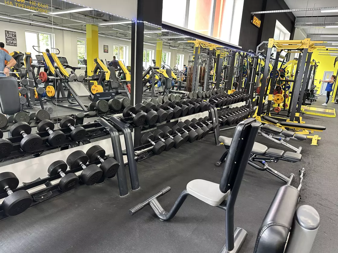 #3 Зона свободных весов